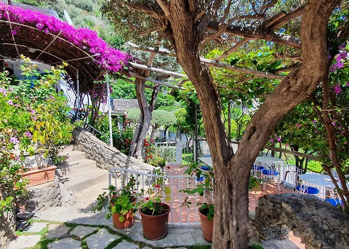 Bed & Breakfast La Maliosa D' Arienzo Positano