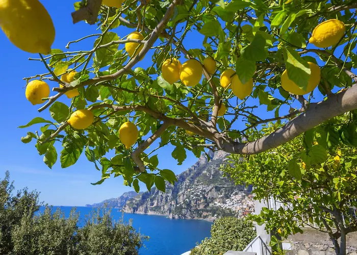 La Maliosa D' Arienzo Bed & Breakfast Positano