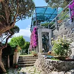 La Maliosa D' Arienzo