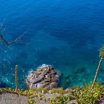 La Maliosa D' Arienzo Bed and Breakfast