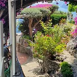 La Maliosa D' Arienzo