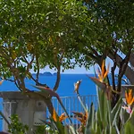 La Maliosa D' Arienzo Ποζιτάνο