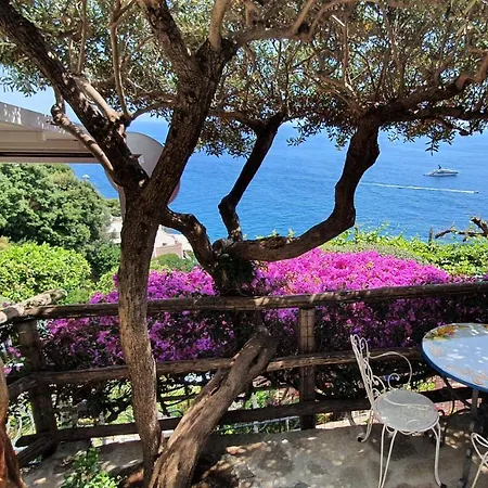 La Maliosa Bed & Breakfast Positano