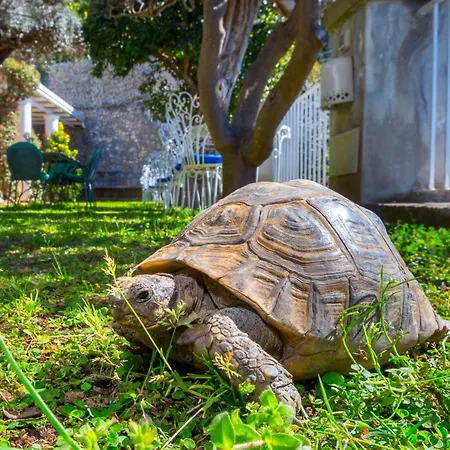 Bed & Breakfast La Maliosa
