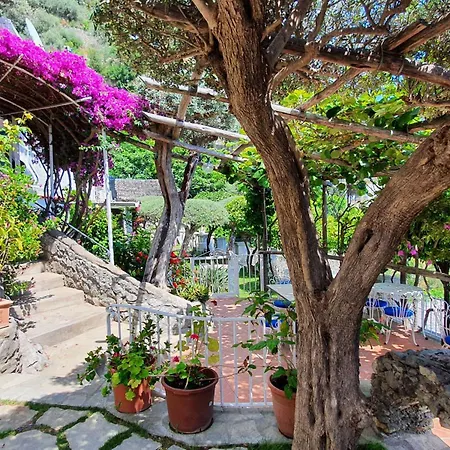 Oda ve Kahvaltı La Maliosa Positano