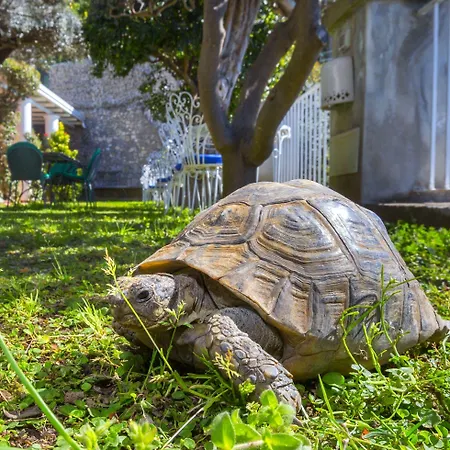 Bed & Breakfast La Maliosa