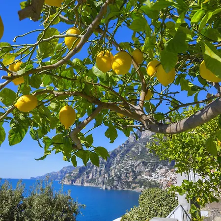 La Maliosa Oda ve Kahvaltı Positano
