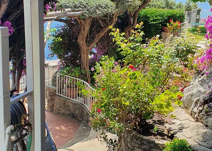 La Maliosa D' Arienzo